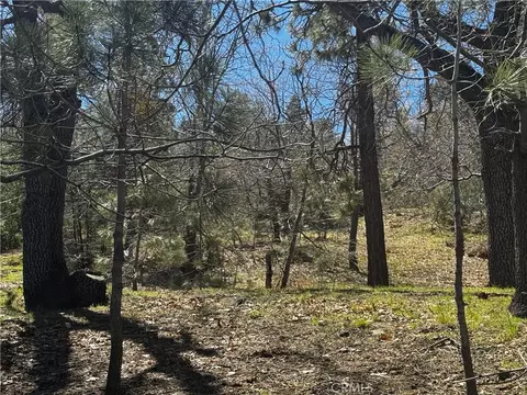 0 Oriole Rd, Wrightwood, CA 92397 photo 4