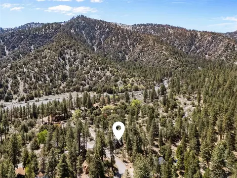 View/Area - 5632 Oak St, Wrightwood, CA 92397 photo 3 of 3