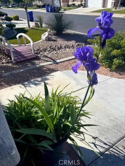 Other - 10812 Katepwa St, Apple Valley, CA 92308 photo 10 of 13