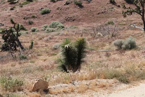 2 Eagles Nest, Yucca Valley, CA 92284 photo 18