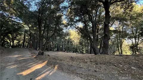 722 Mojave River Rd, Cedarpines Park, CA 92322