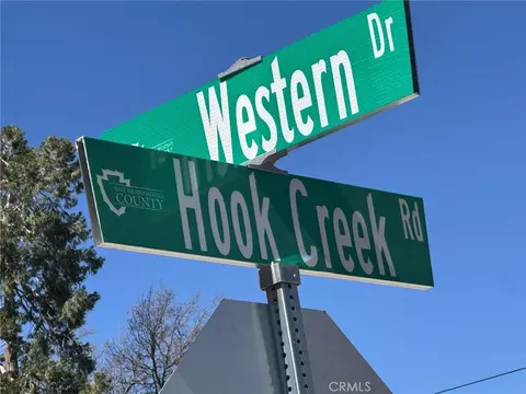 29135 Hook Crk, Cedar Glen, CA 92321 photo 4