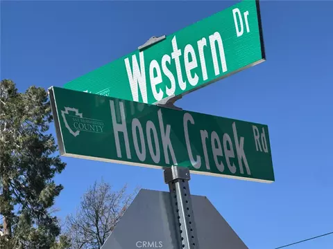 29135 Hook Crk, Cedar Glen, CA 92321 photo 4