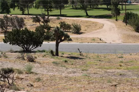 0 Buckthorn, Hesperia, CA 92345 photo 4