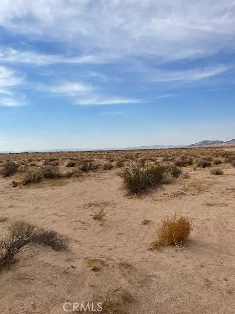 0 Silver Valley Rd, Newberry Springs, CA 92365