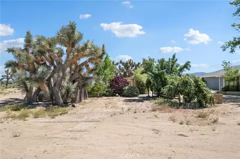 Exterior - 10925 Buttonwood, Phelan, CA 92371 photo 15 of 15