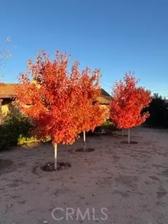 Other - 7344 Oxford Ave, Hesperia, CA 92345 photo 12 of 14