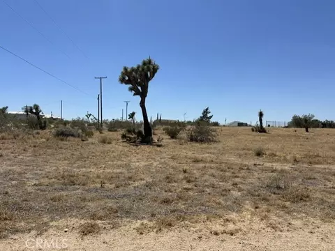 0 Olivine Rd, Phelan, CA 92371 photo 3