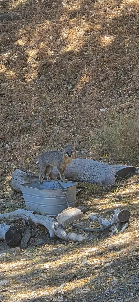 Other - 5180 Lone Pine Cyn, Wrightwood, CA 92397 photo 10 of 10