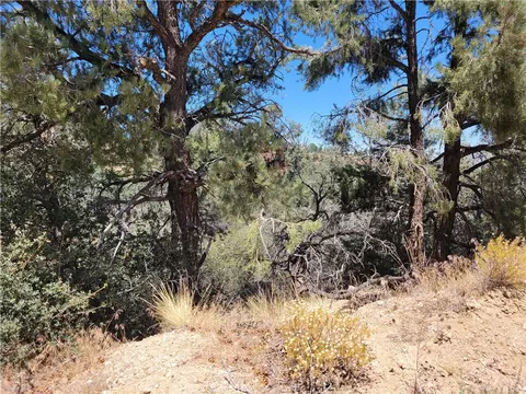 0 Old Oak Springs Valley Rd, Wrightwood, CA 92397