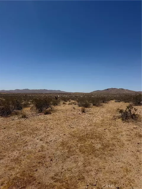 39 Leaping Lizard Ln, Apple Valley, CA 92307 photo 2