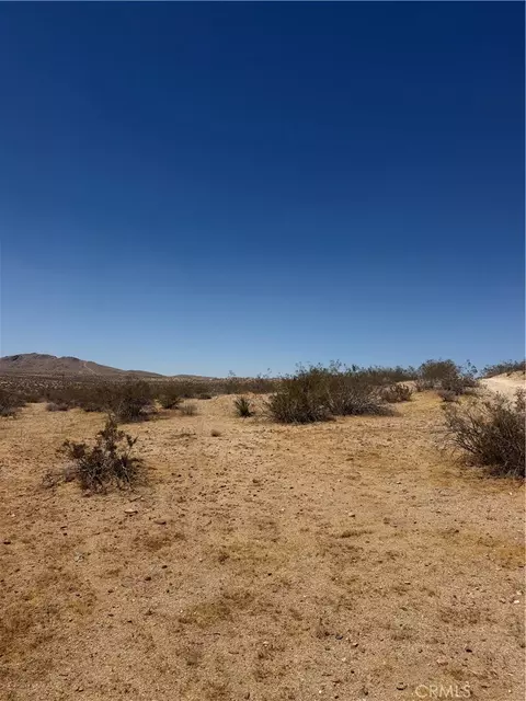 39 Leaping Lizard Ln, Apple Valley, CA 92307 photo 3
