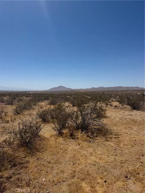 39 Leaping Lizard Ln, Apple Valley, CA 92307 photo 4