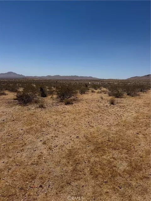 39 Leaping Lizard Ln, Apple Valley, CA 92307 photo 11