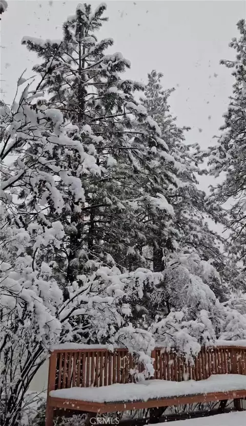 Other - 1025 Rivera, Wrightwood, CA 92397 photo 12 of 13