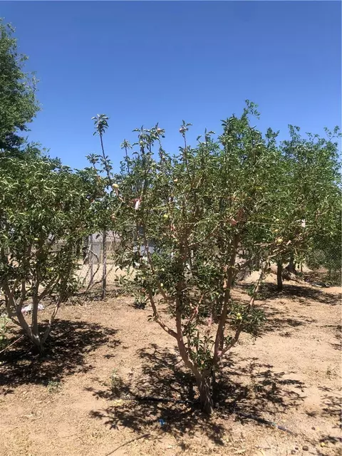 32726 Agate Rd, Lucerne Valley, CA 92356 photo 7