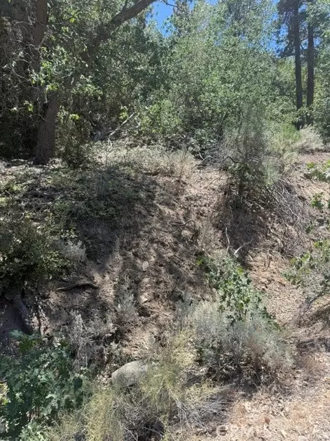 22301 Bernina Way, Tehachapi, CA 93561 photo 5