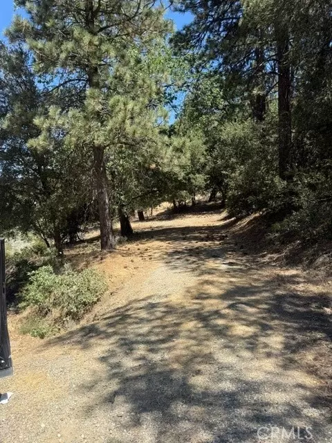 22301 Bernina Way, Tehachapi, CA 93561 photo 6