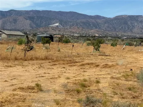 9934 Lager, Phelan, CA 92371 photo 21