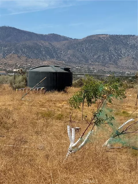 9934 Lager, Phelan, CA 92371 photo 19
