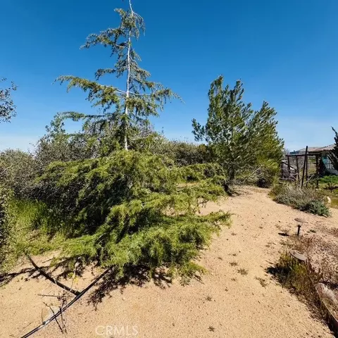 Exterior - 7438 Woodcliff, Phelan, CA 92371 photo 14 of 23
