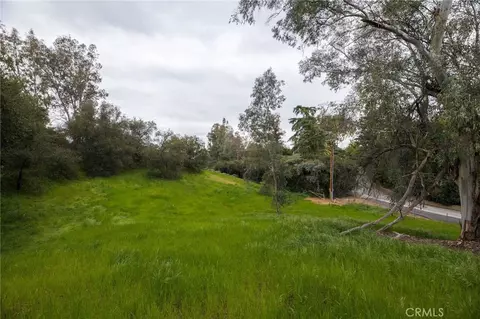 1702 Dwight St, Redlands, CA 92373 photo 8
