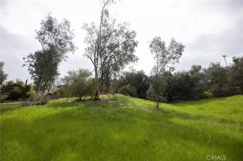 1702 Dwight St, Redlands, CA 92373 photo 4