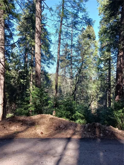35 Spring Dr, Cedarpines Park, CA 92322