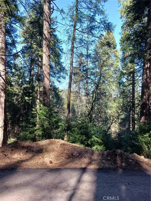 35 Spring Dr, Cedarpines Park, CA 92322