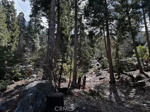 0 Fir, Forest Falls, CA 92339 photo 3