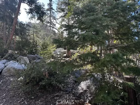 0 Fir, Forest Falls, CA 92339 photo 2