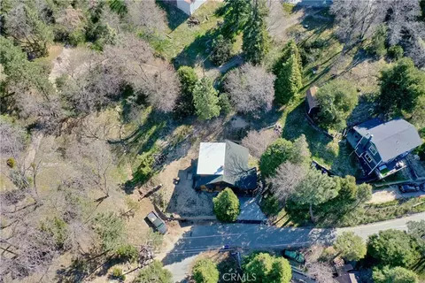 View/Area - 29278 Pine Dr, Cedar Glen, CA 92321 photo 2 of 3