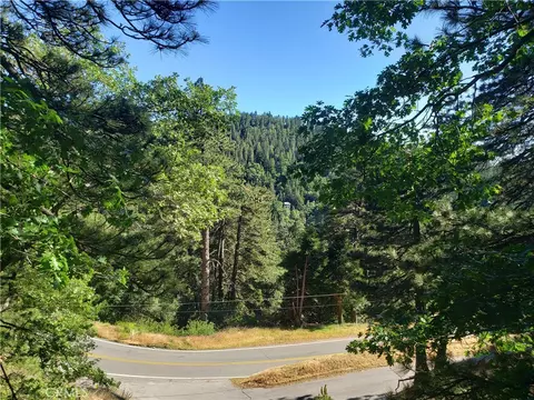 21858 Fern Canyon Rd, Cedarpines Park, CA 92322