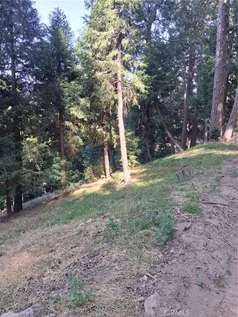 61 Evergreen Dr, Cedarpines Park, CA 92322