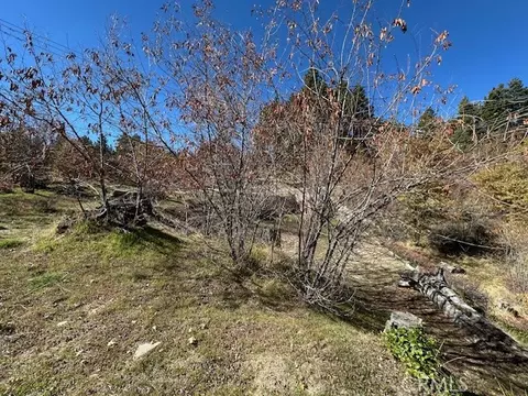 2379 Chicago Dr, Running Springs, CA 92382 photo 3