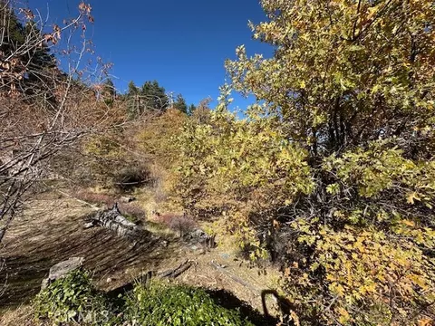 2379 Chicago Dr, Running Springs, CA 92382 photo 10