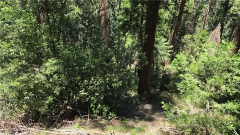 0 Deer Run Rd, Cedarpines Park, CA 92322 photo 1