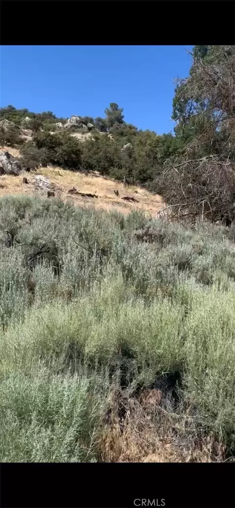 24151 Jacaranda Dr, Tehachapi, CA 93561 photo 4