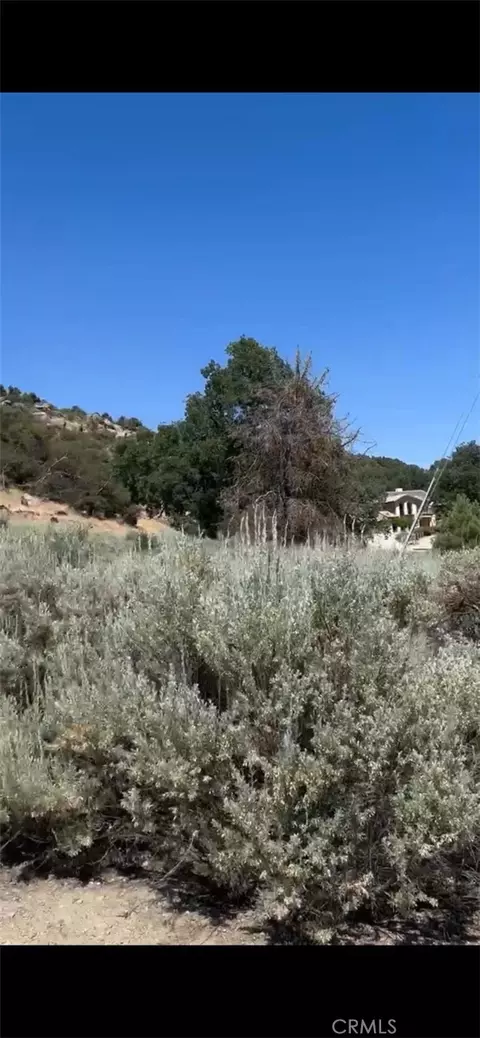 24151 Jacaranda Dr, Tehachapi, CA 93561 photo 3