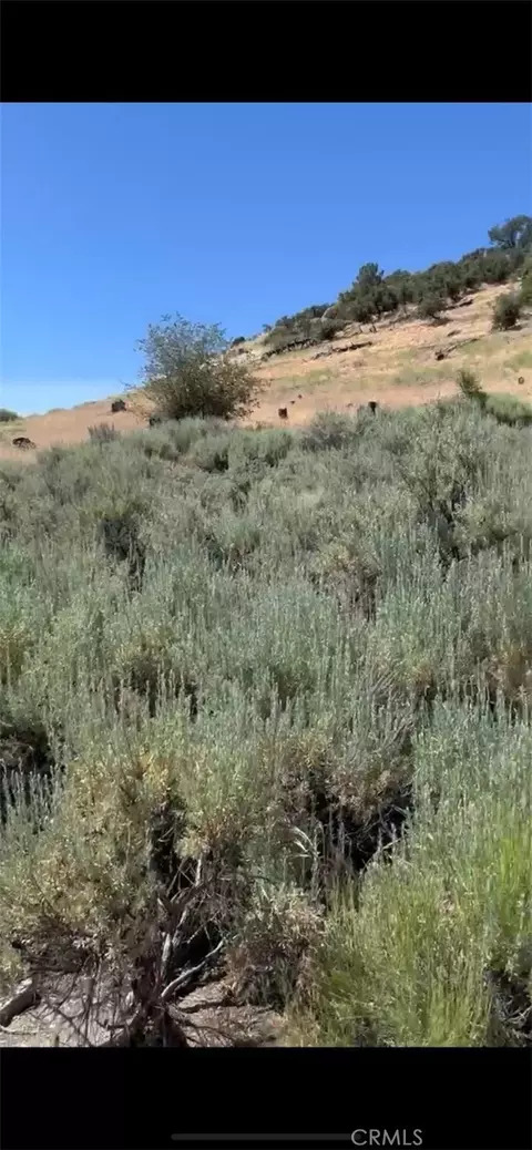 24151 Jacaranda Dr, Tehachapi, CA 93561 photo 2