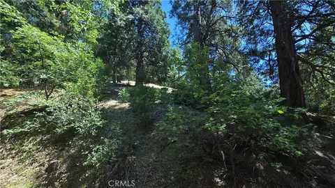 22494 Mojave River Rd, Cedarpines Park, CA 92322