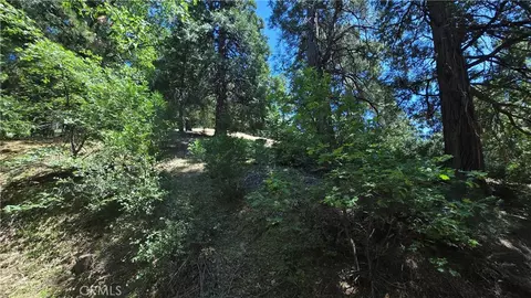 22494 Mojave River Rd, Cedarpines Park, CA 92322