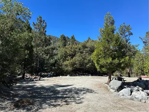 41385 Alder Dr, Forest Falls, CA 92339 photo 3