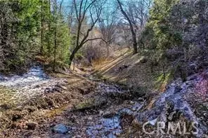 0 Deer, Lake Arrowhead, CA 92352 photo 5