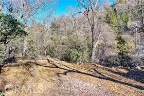 0 Deer, Lake Arrowhead, CA 92352 photo 12