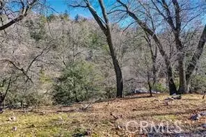 0 Deer, Lake Arrowhead, CA 92352 photo 4