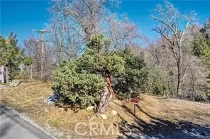 0 Deer, Lake Arrowhead, CA 92352 photo 11