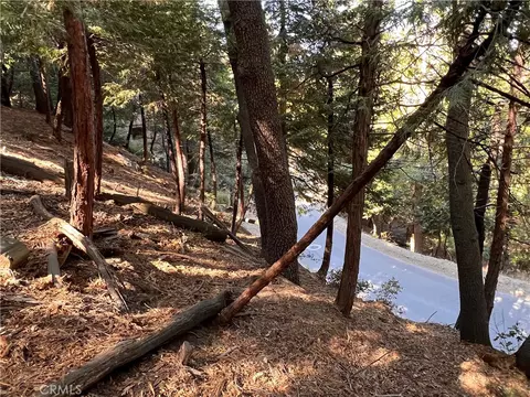 0 Lausanne, Crestline, CA 92325 photo 8