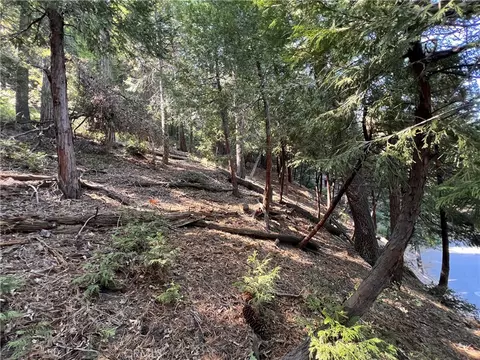 0 Lausanne, Crestline, CA 92325 photo 6