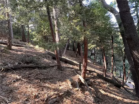 0 Lausanne, Crestline, CA 92325 photo 9